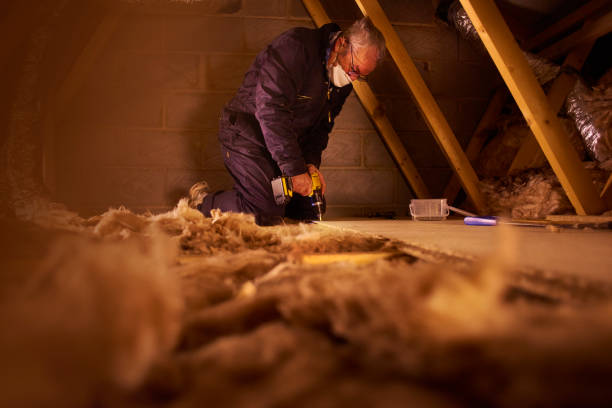 Eco-Friendly Insulation Solutions in Pendleton, IN